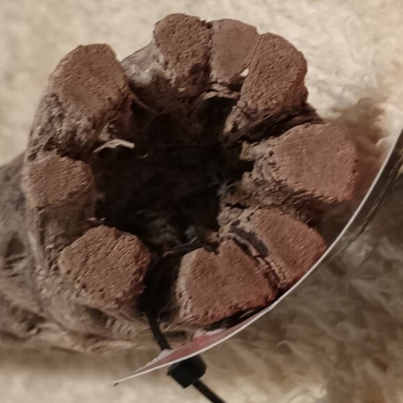 Galapagos Cholla Wood Branch Terrarium Natural Accessory, Regular 12 inches long - Picture 9 of 9